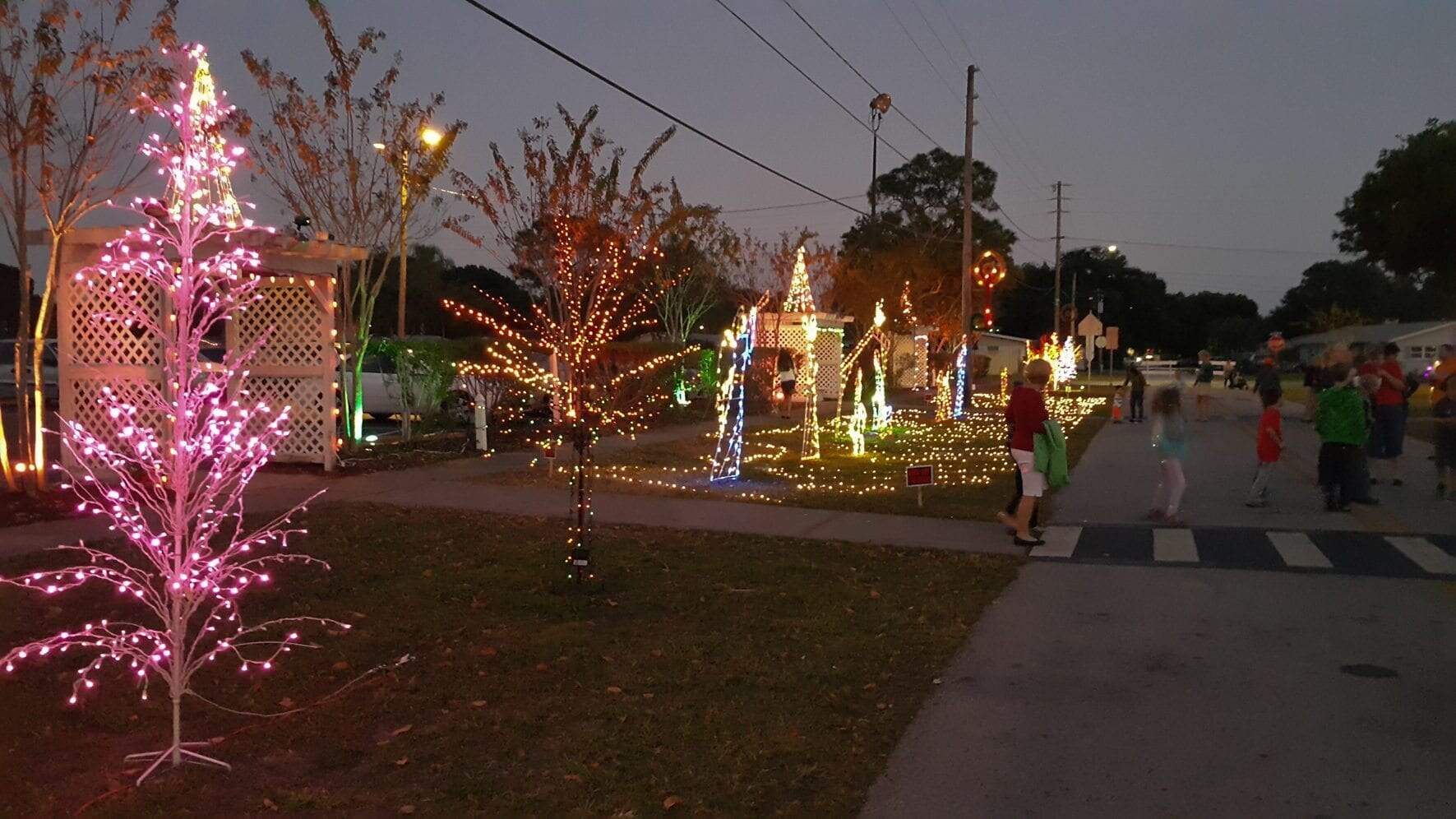 Christmas Tree Lighting Photos Sacred Heart Catholic Church of