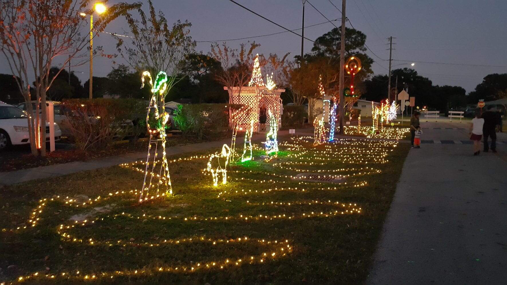 Christmas Tree Lighting Photos Sacred Heart Catholic Church of