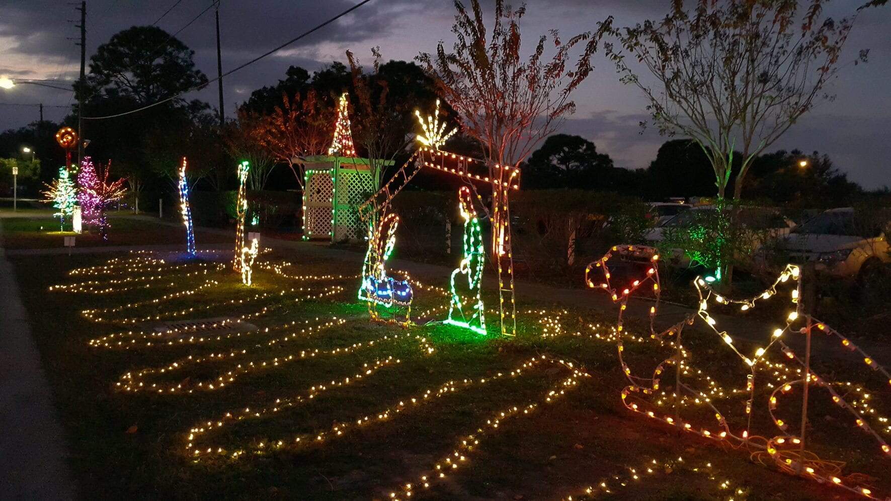 Christmas Tree Lighting Photos Sacred Heart Catholic Church of