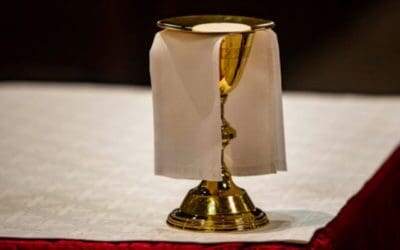 The National Eucharistic Revival: For your reflection