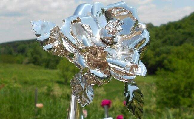 The Silver Rose program