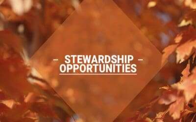 4 Stewardship Opportunities!
